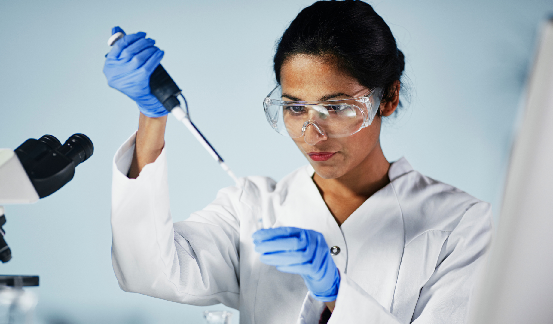 Image hover effect image